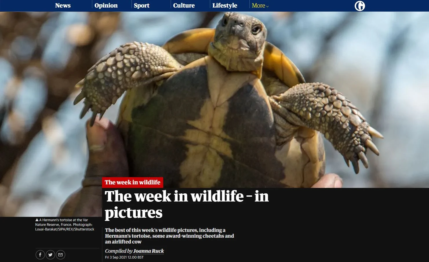 G - 3 septembre 2021 - La semaine de la faune sauvage, en images