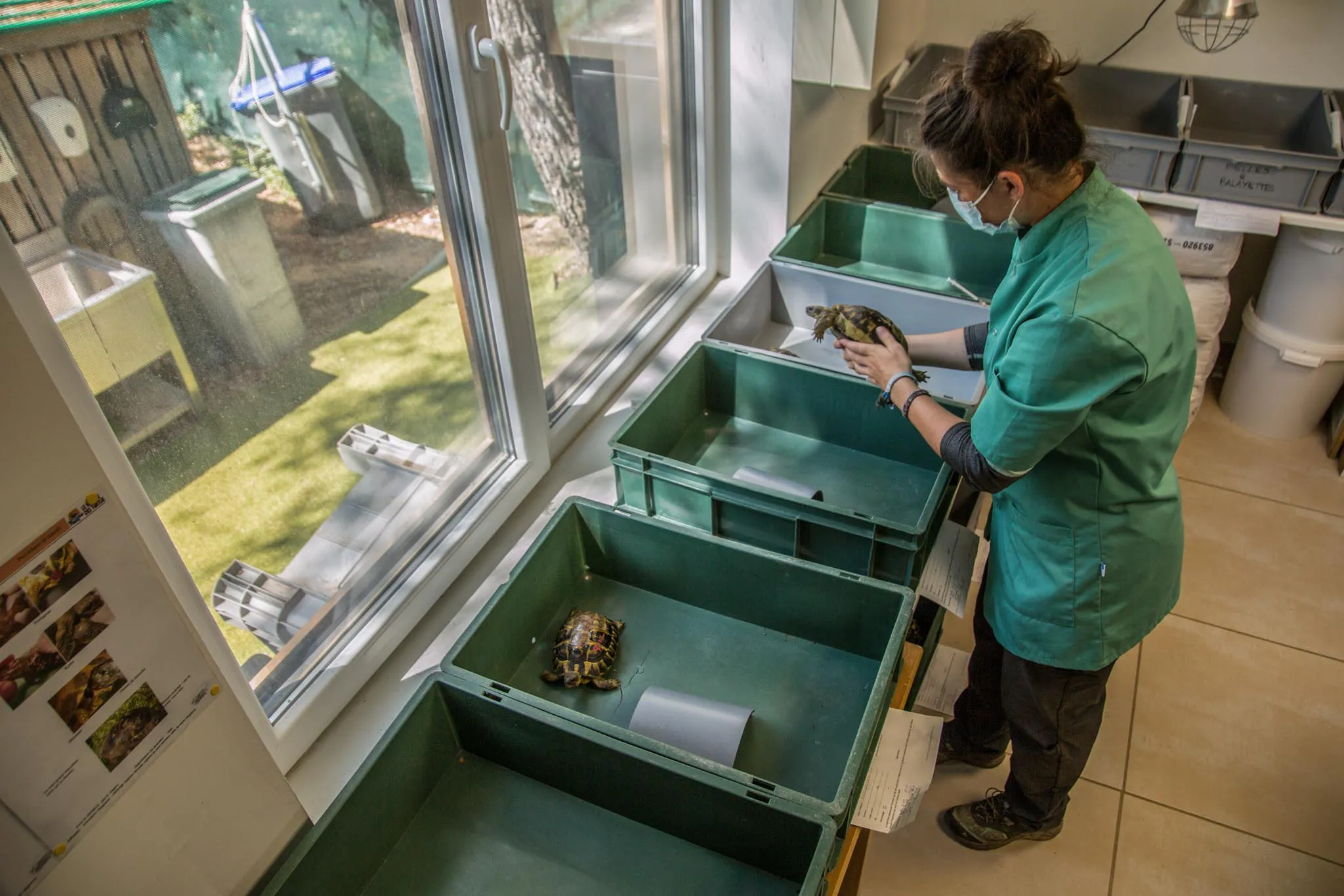 LOUAI-BARAKAT-reportage-Les-dernieres-tortues-francaises-31