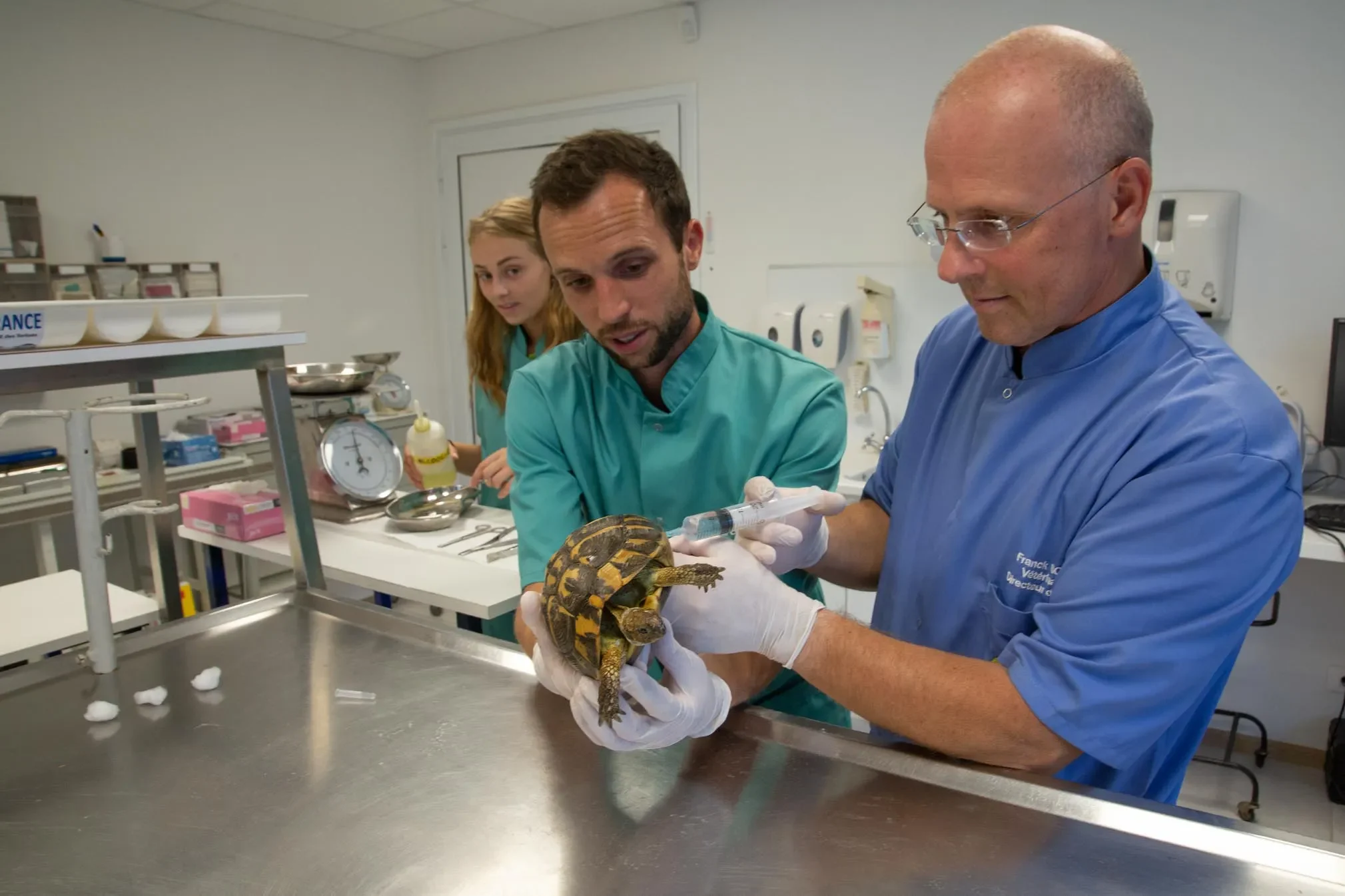 LOUAI-BARAKAT-reportage-Les-dernieres-tortues-francaises-44