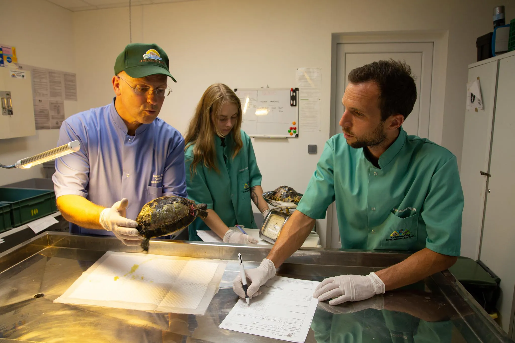 LOUAI-BARAKAT-reportage-Les-dernieres-tortues-francaises-45
